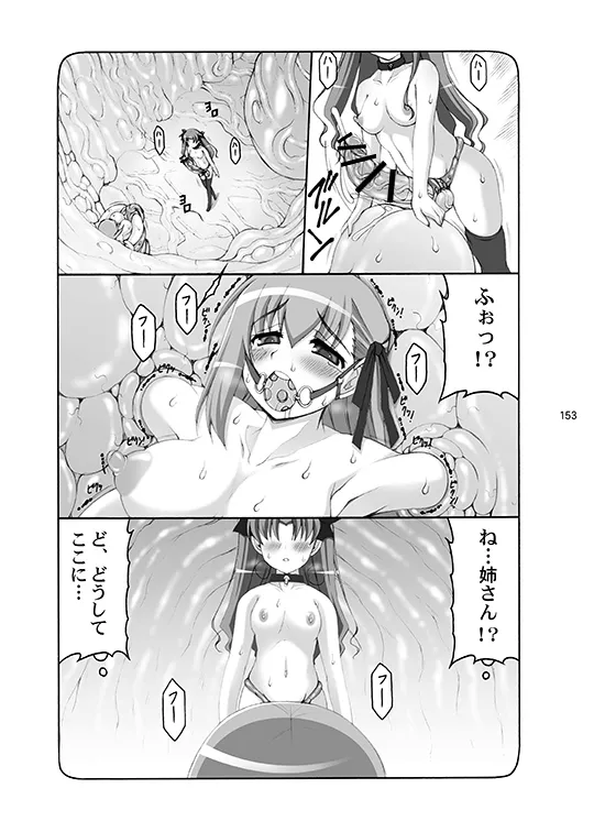蟲鳥総集編デジタル版 - page153