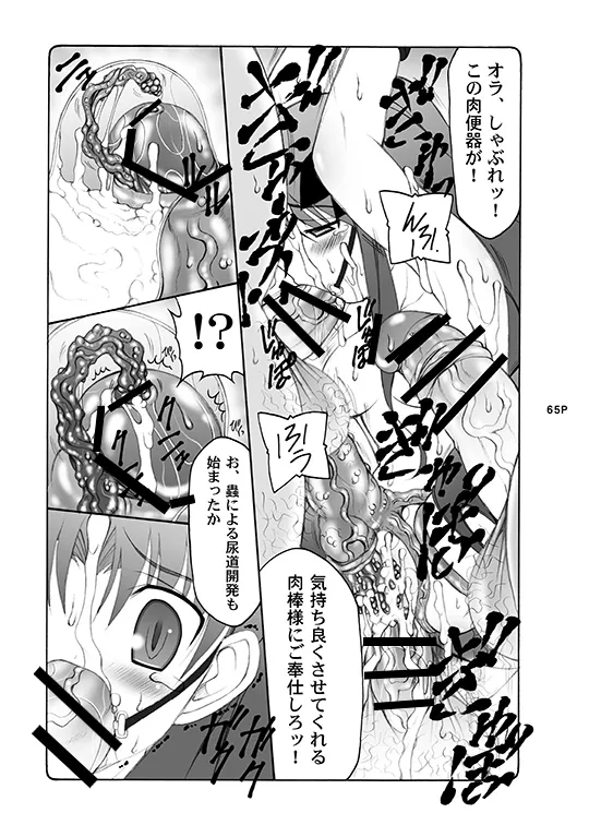 蟲鳥総集編デジタル版 - page65