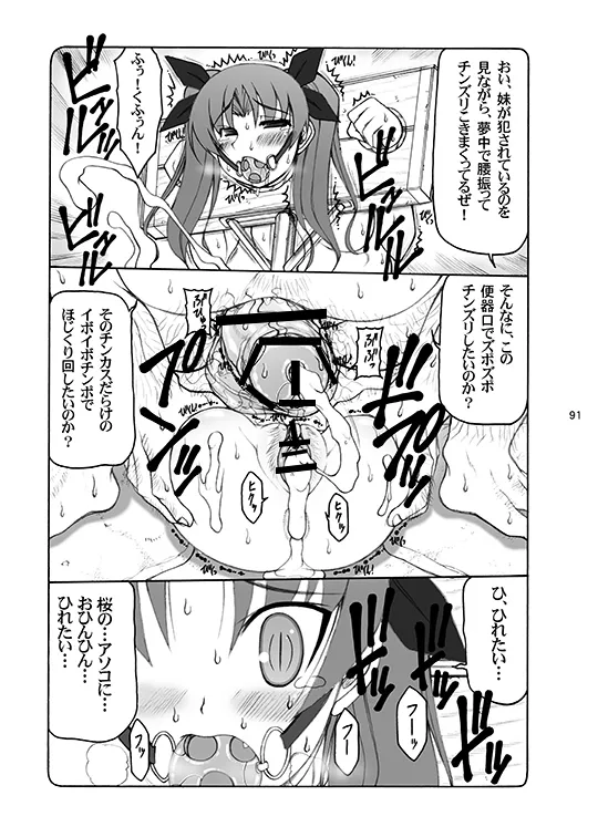 蟲鳥総集編デジタル版 - page91