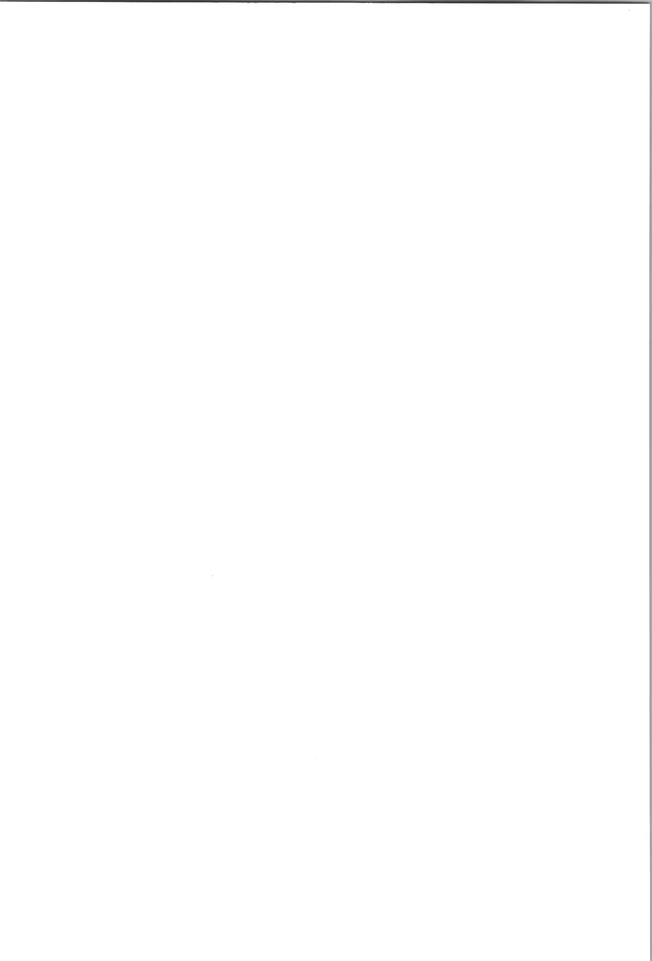 ENDLESS HAPPY END - page4