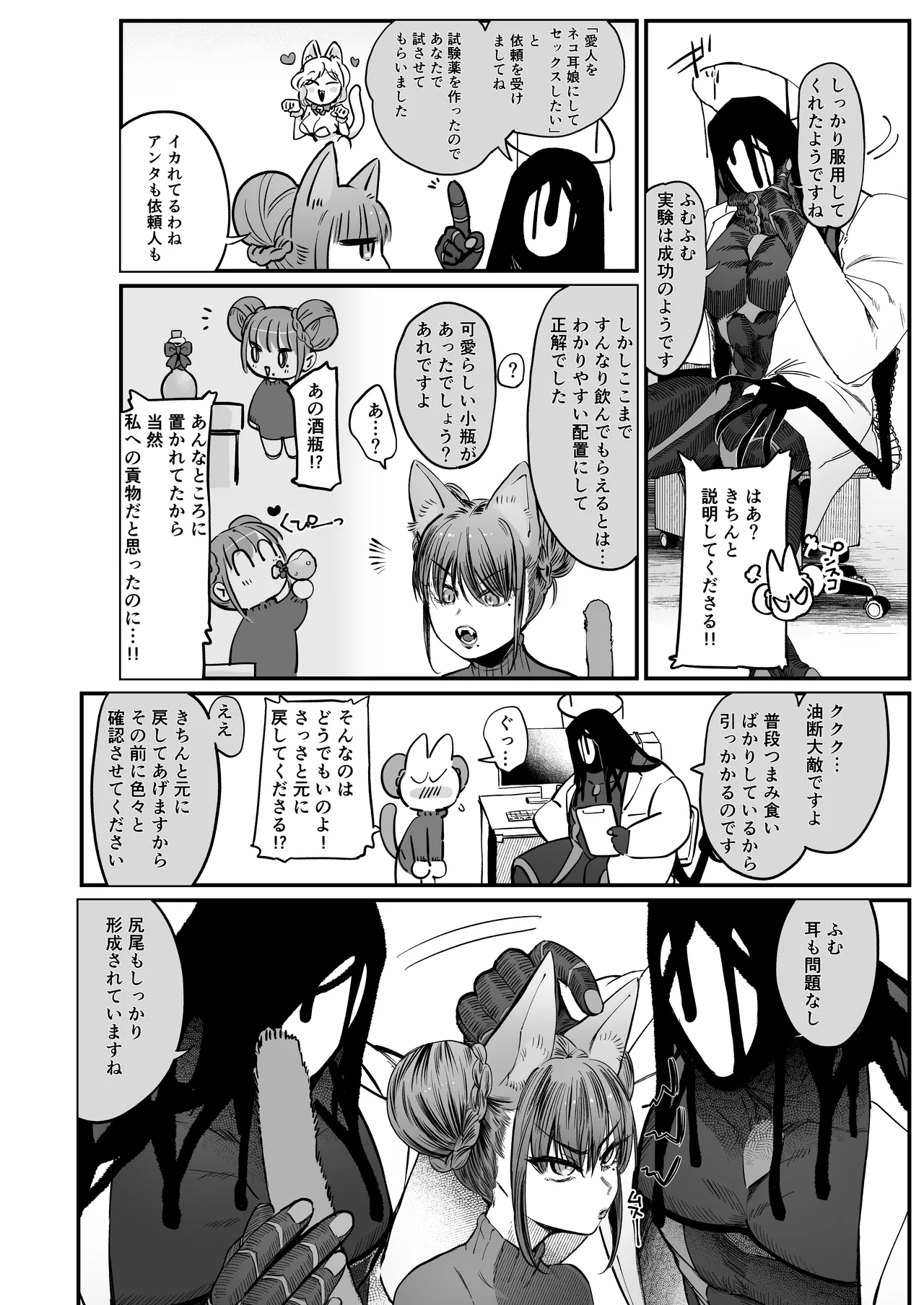 メスネコ！ランホアちゃん - page3