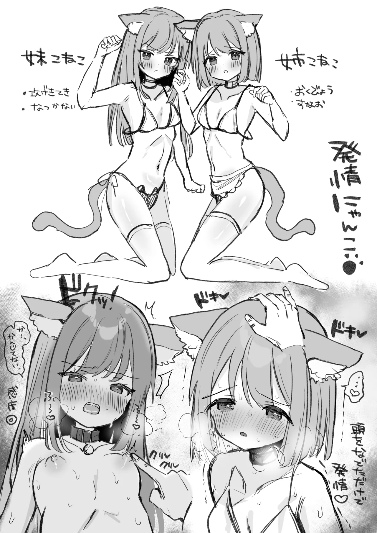 はつじょうにゃんこふたご - page3