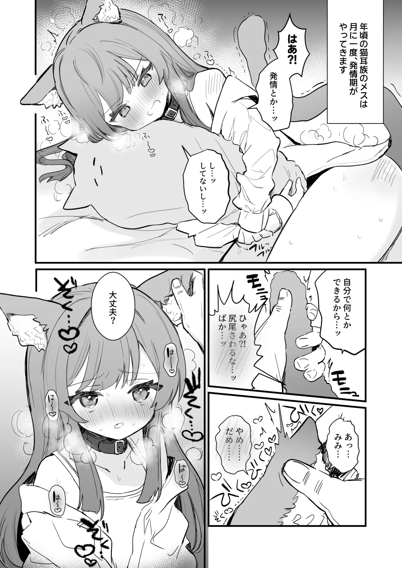 はつじょうきの処理 - page2