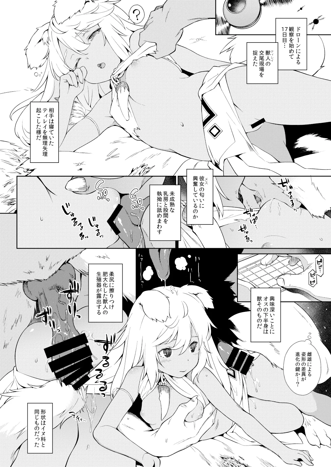 獣人生態観察記録 - page11