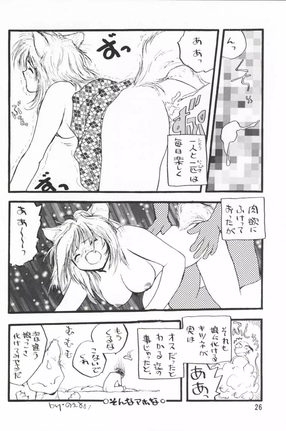 Plus-Y 25 けもみみっくす - page25