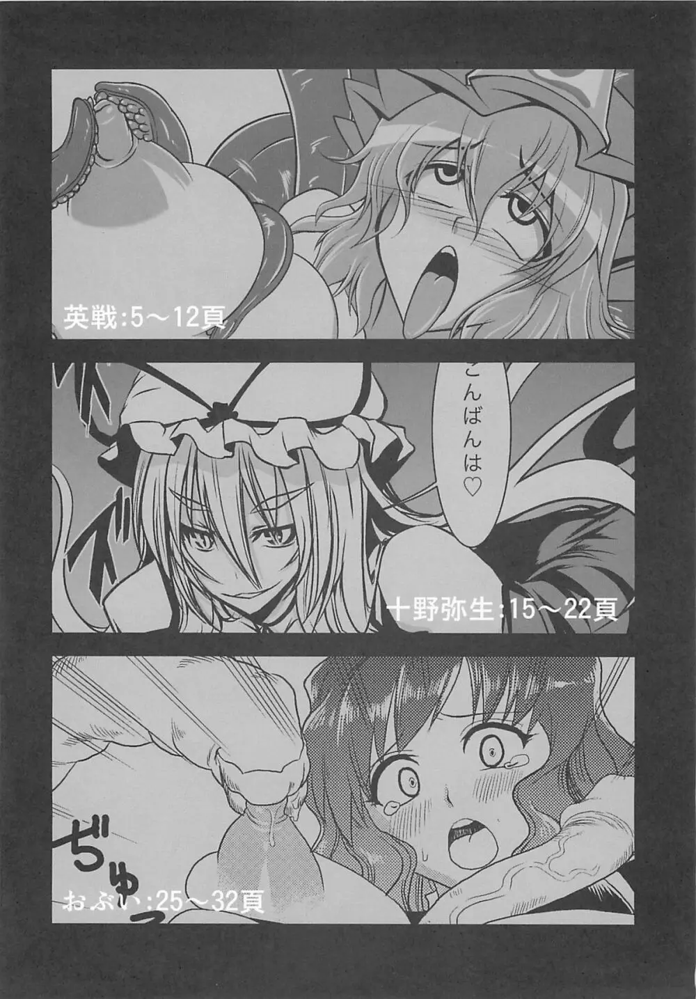 東方玉付ふたなり合同誌 玉竿 - page3