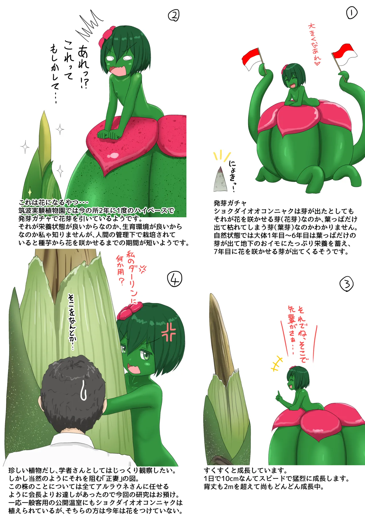 人工アルラウネ - page58