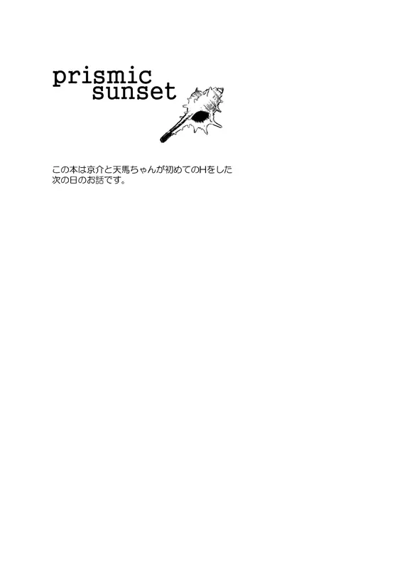 prismic sunset [WEB再録] - page2
