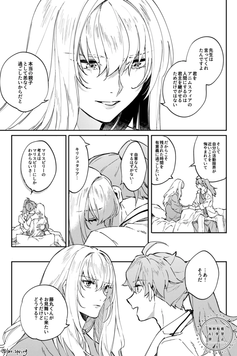 ロードアニムスフィアの秘密 - page14