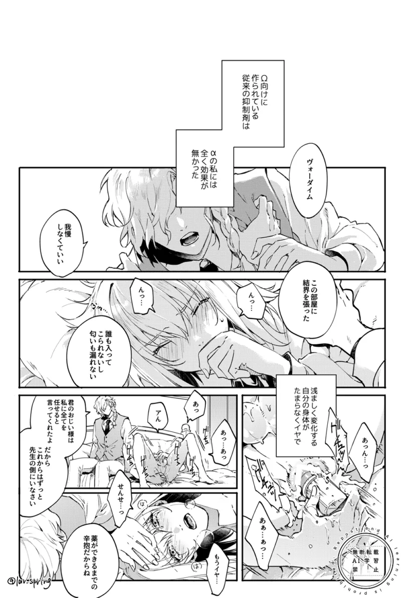 ロードアニムスフィアの秘密 - page21