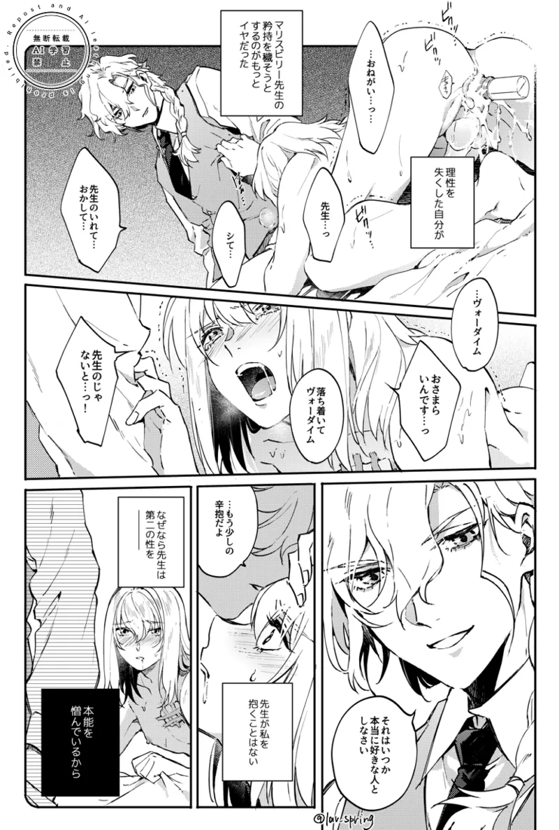 ロードアニムスフィアの秘密 - page22