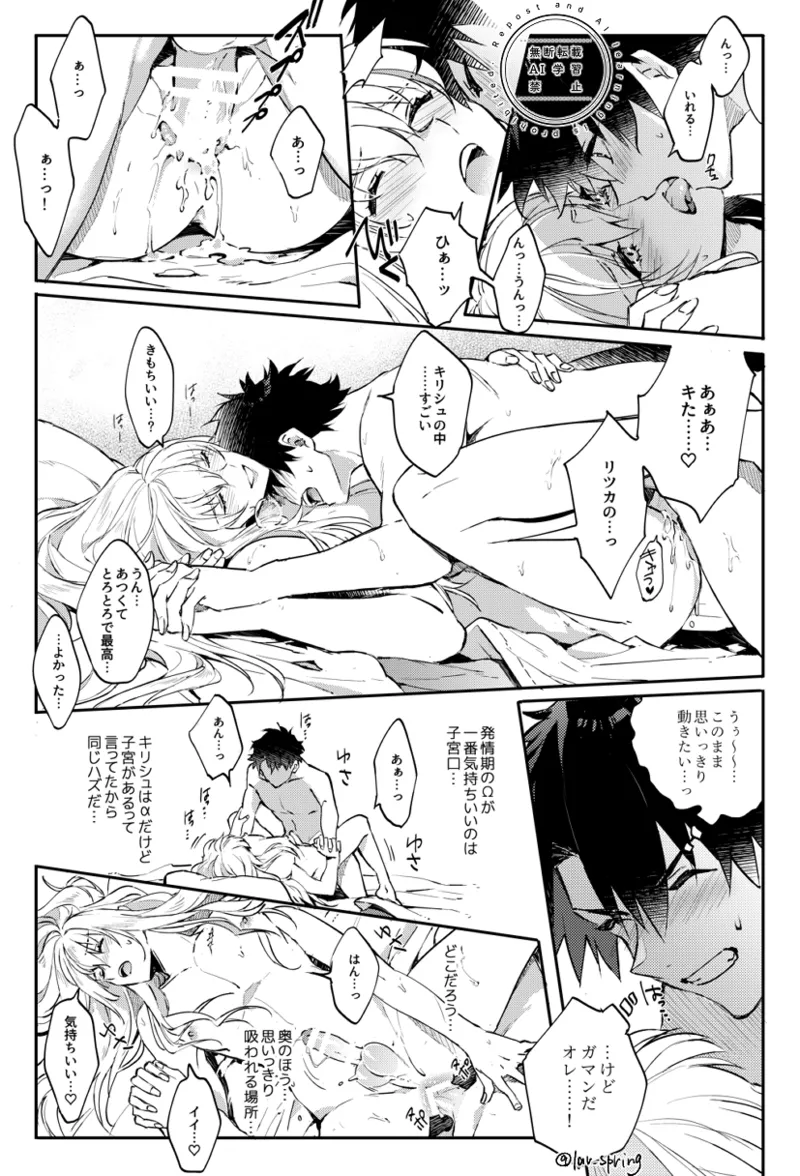 ロードアニムスフィアの秘密 - page41