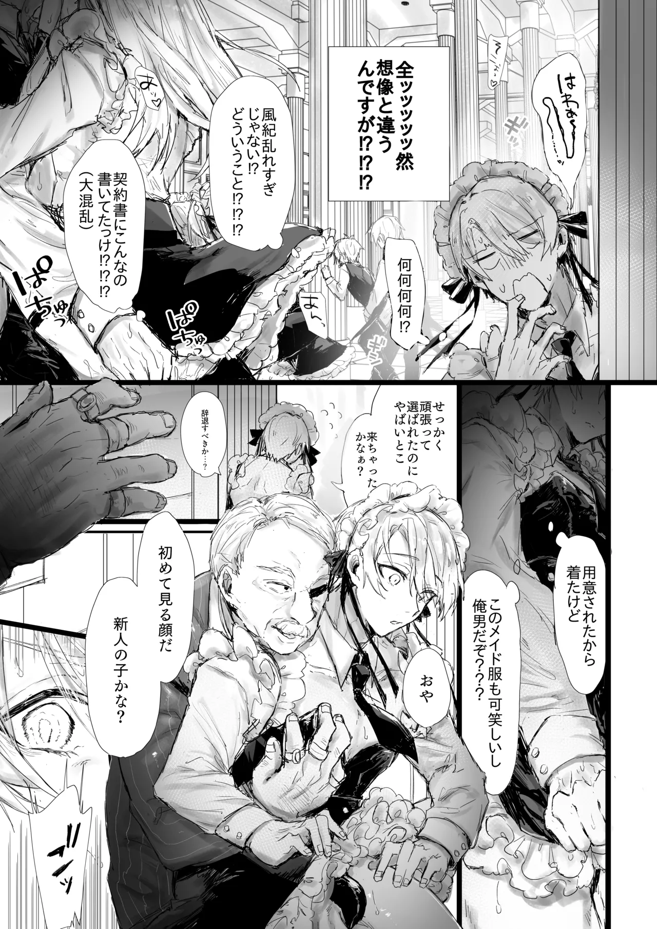 性処理メイドのお仕事 - page5