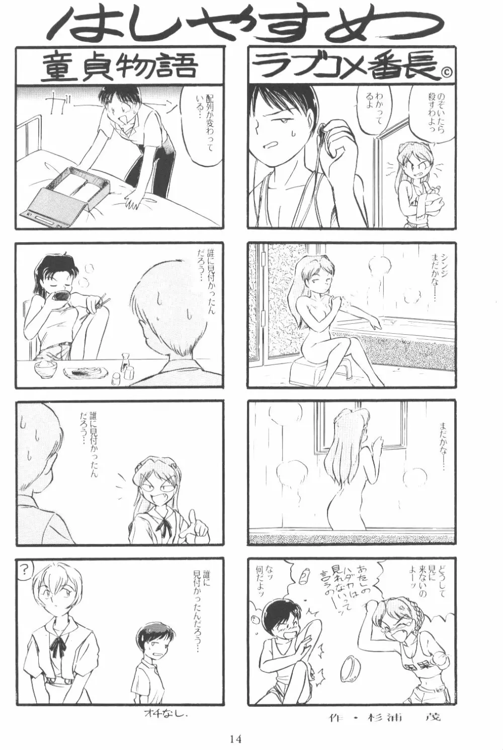 Eva-Plus C - page13