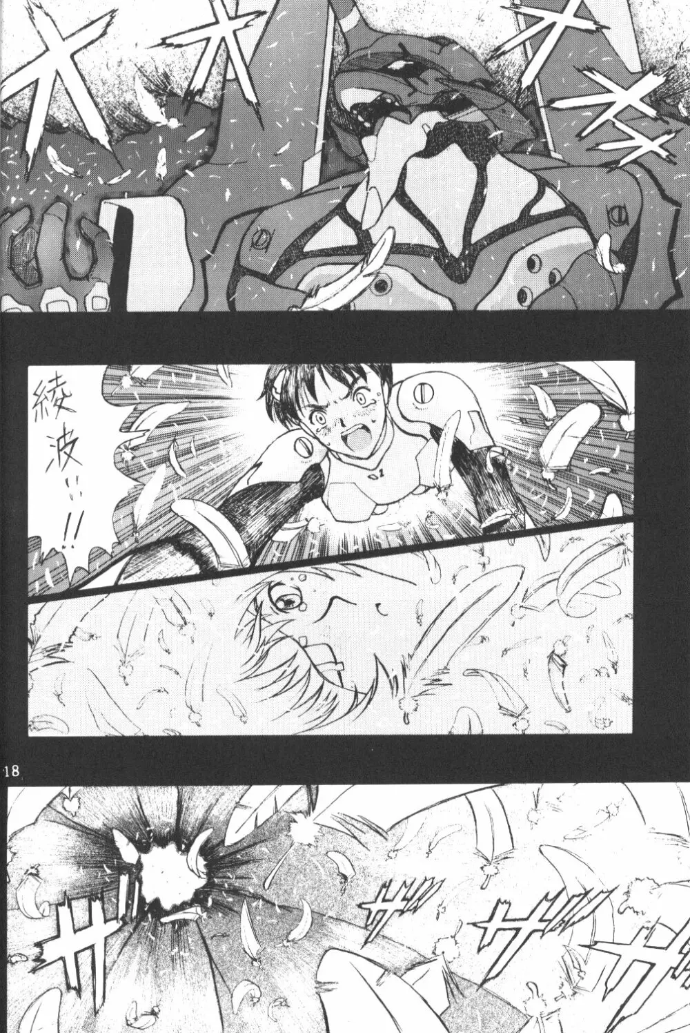 Eva-Plus C - page17