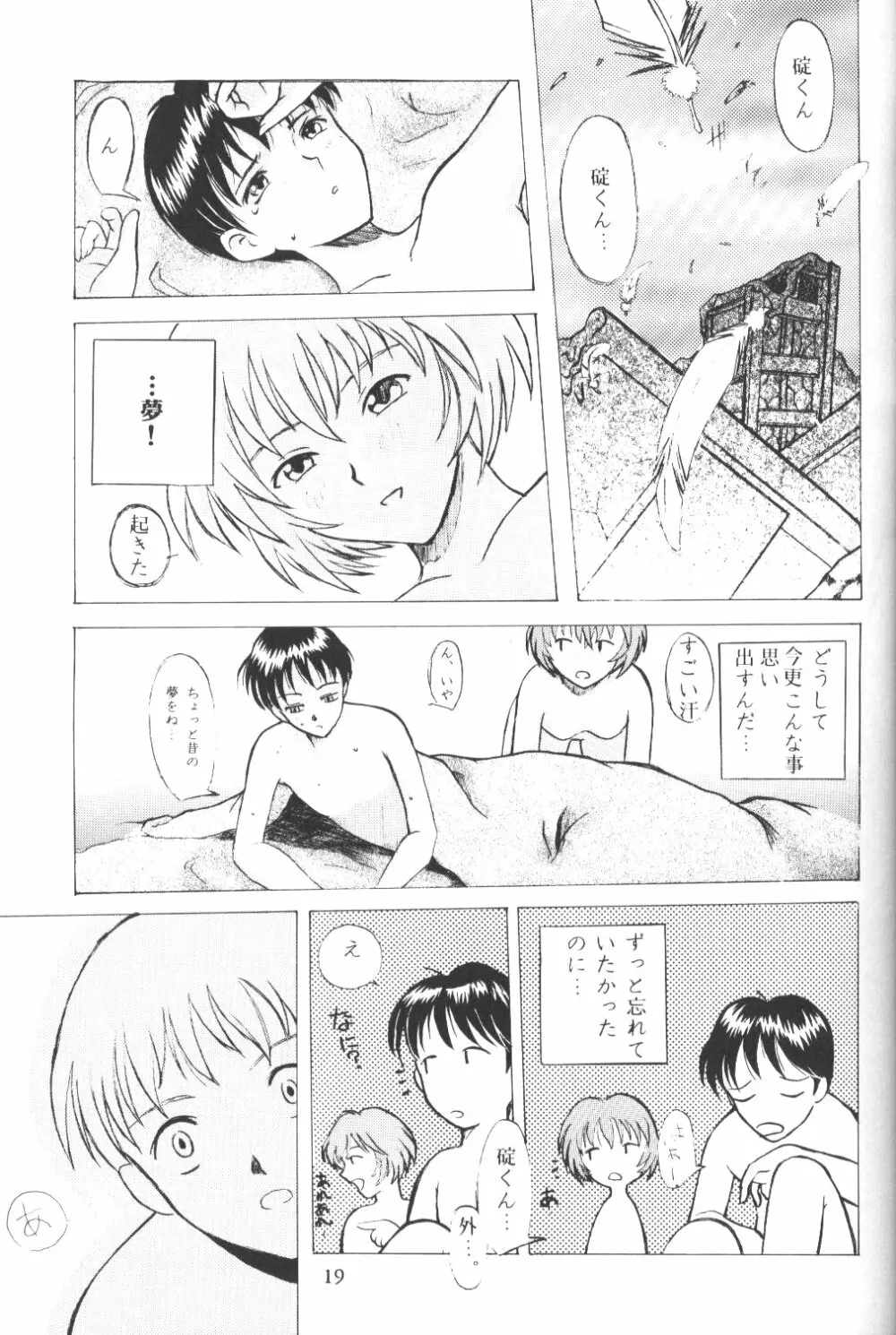 Eva-Plus C - page18