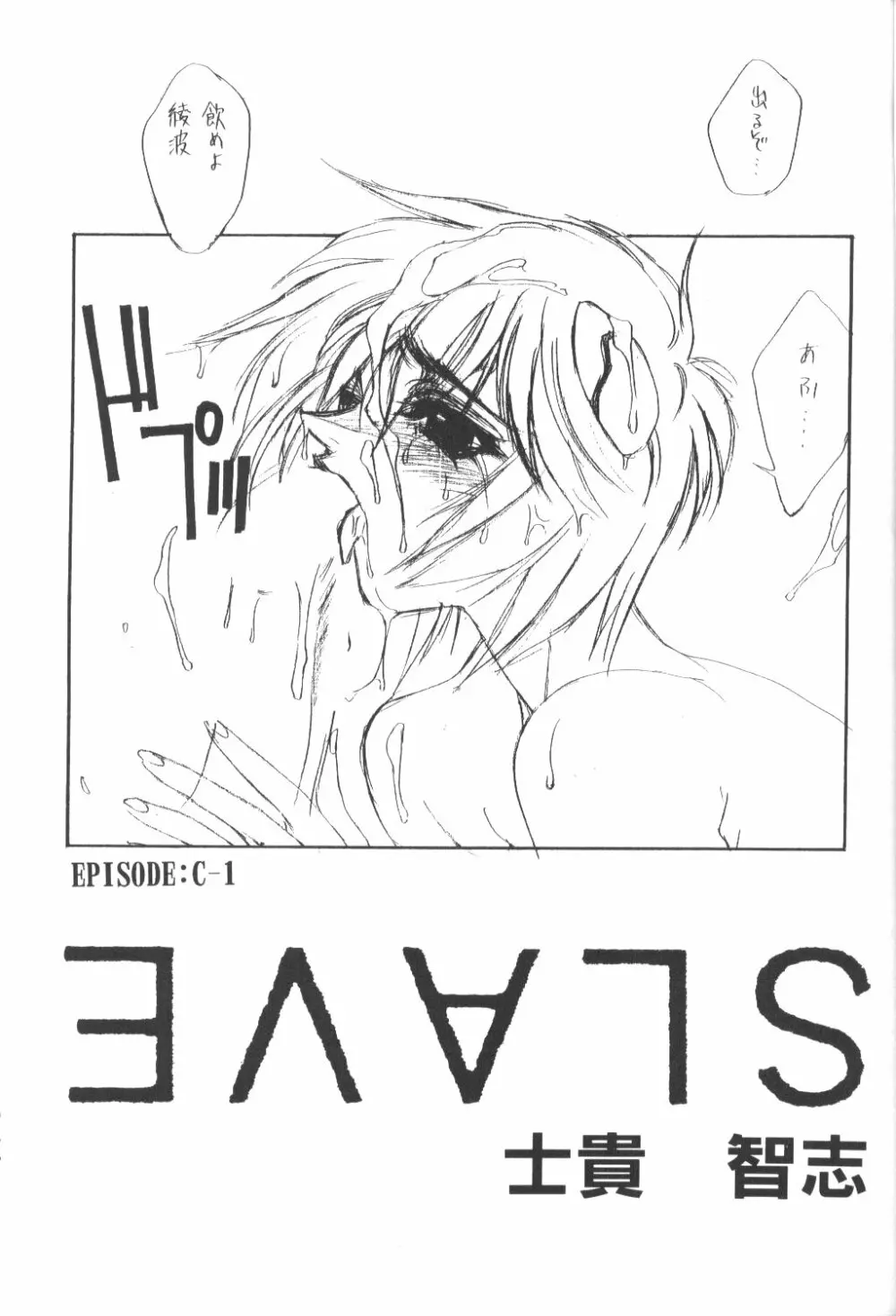 Eva-Plus C - page4