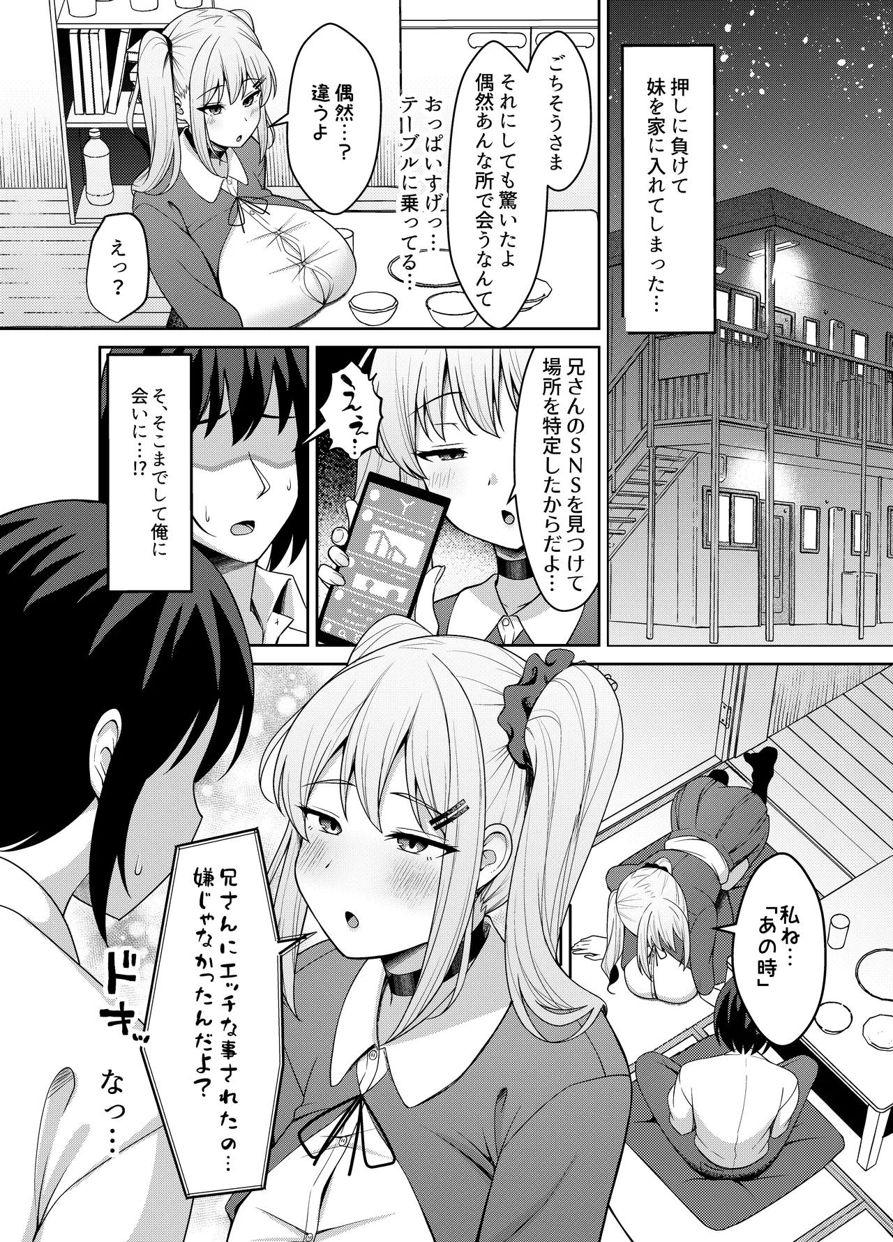 兄ラブ高湿度長乳妹に迫られて孕ませちゃう話 - page5