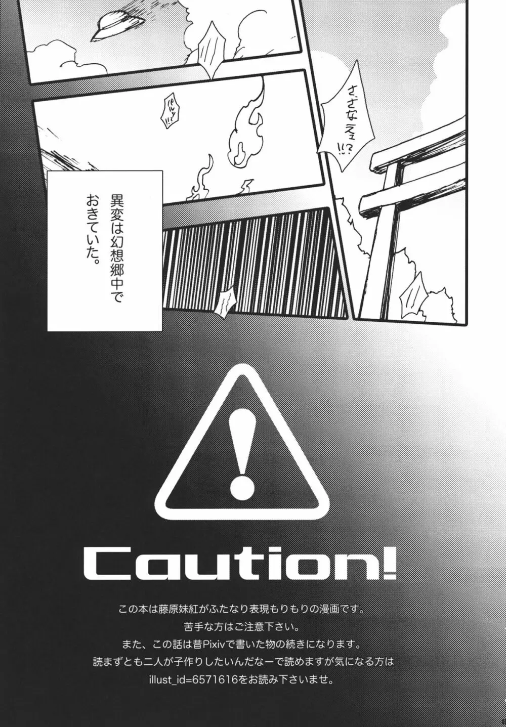藤原妹紅は静かに暮らせない - page5