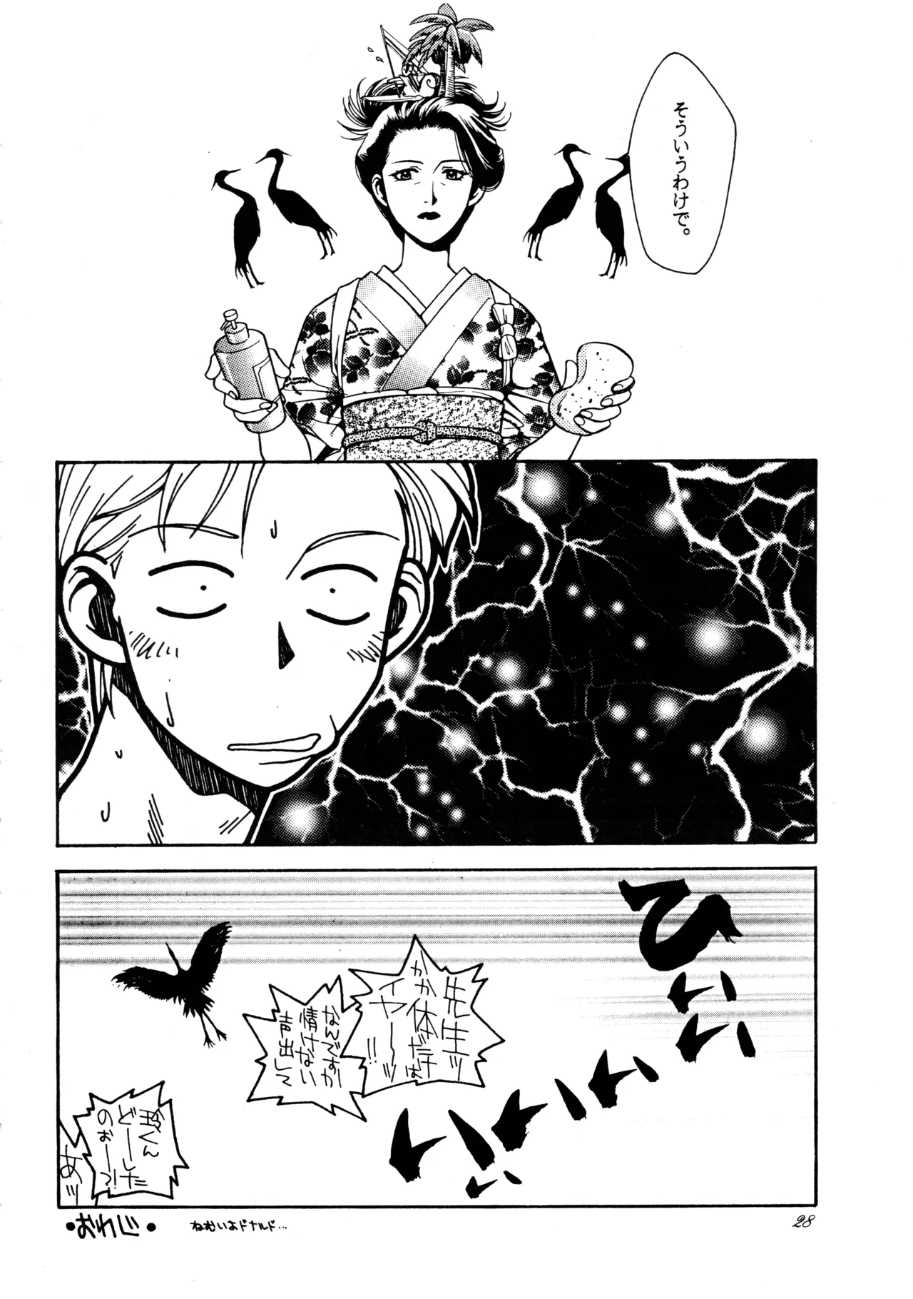 飛行原理ファルマン - page27