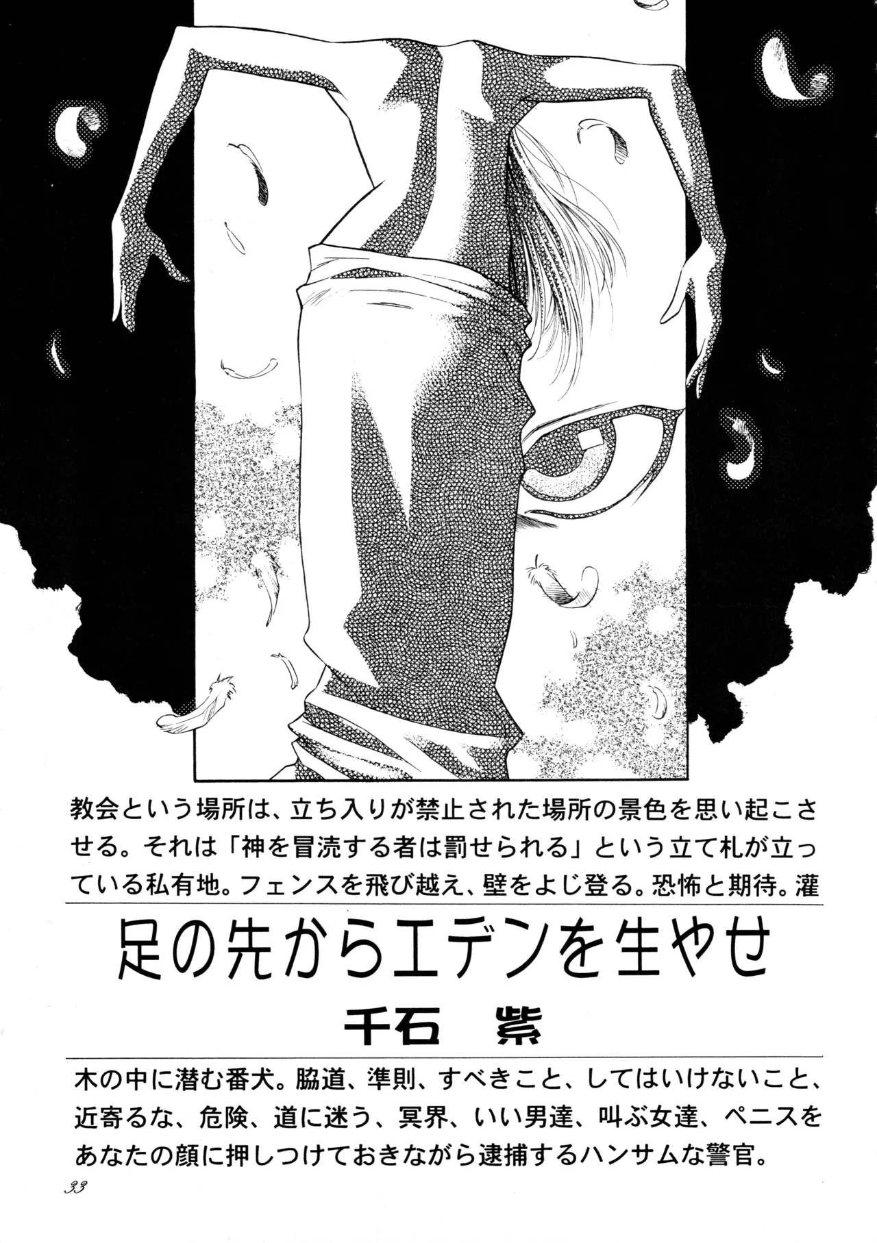 飛行原理ファルマン - page32