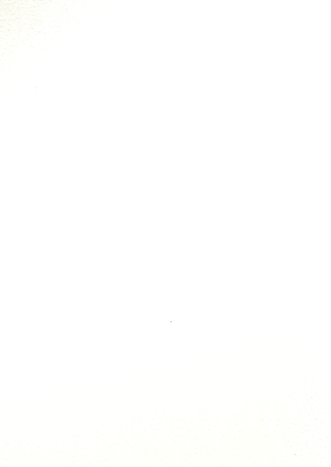 これもう巫女とか関係なくないですか!? - page2