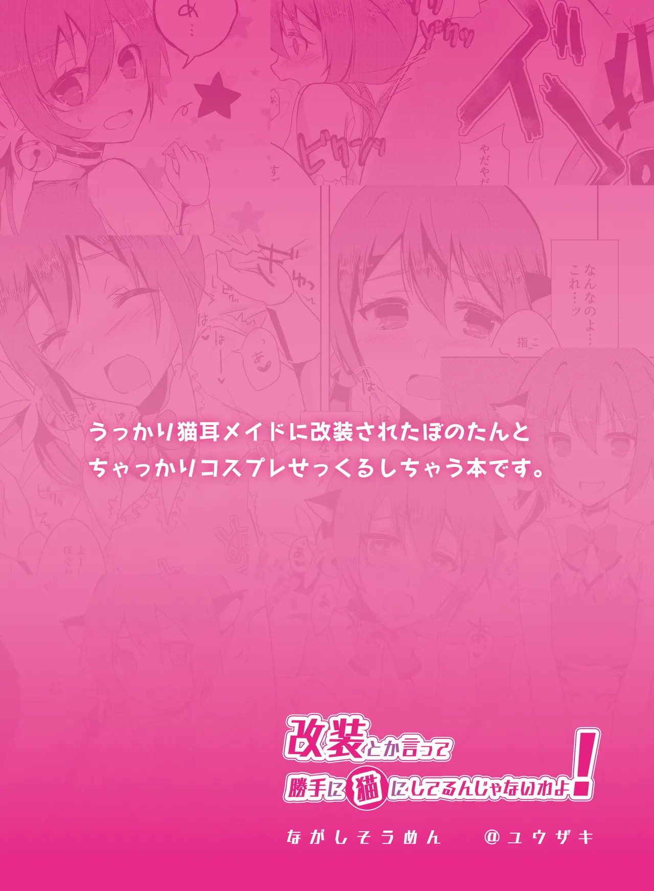 改装とか言って勝手に猫にしてるんじゃないわよ! - page18