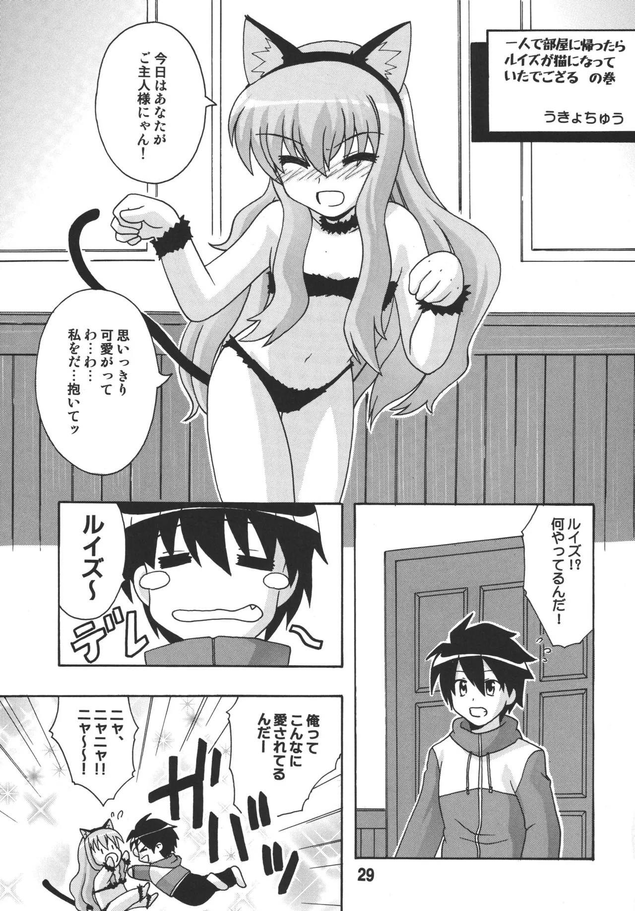 ルイズックス - page28