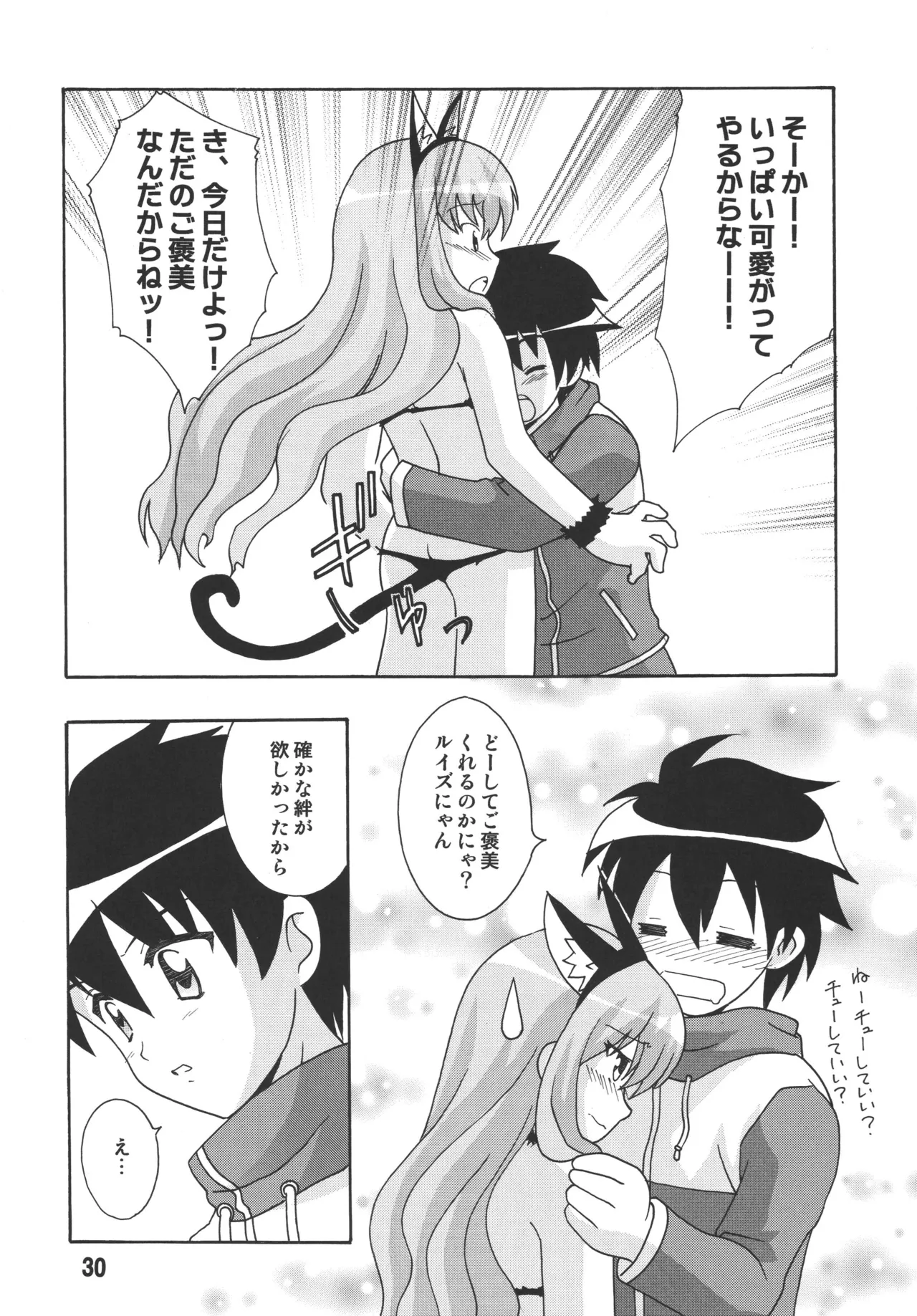 ルイズックス - page29