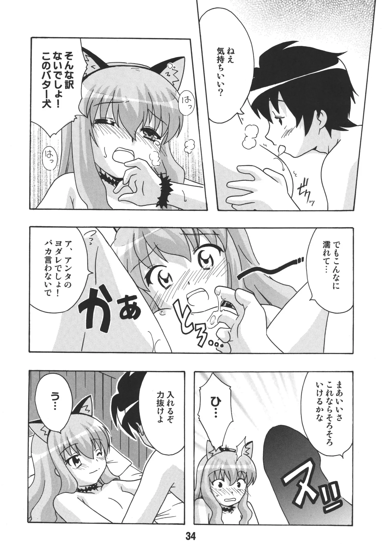 ルイズックス - page33