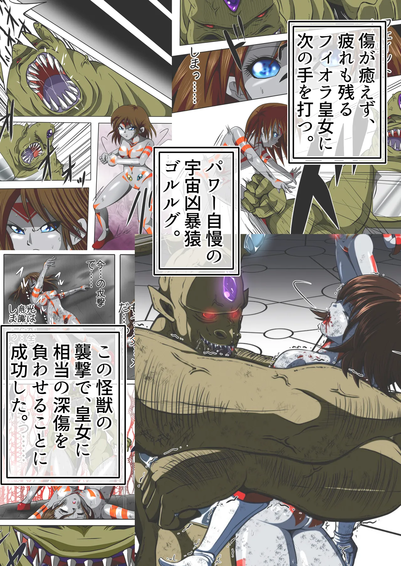 フィオラ クライシスⅤ - page4