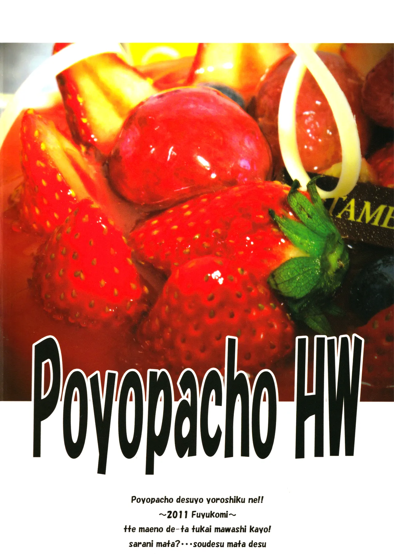 Poyopacho HW - page26