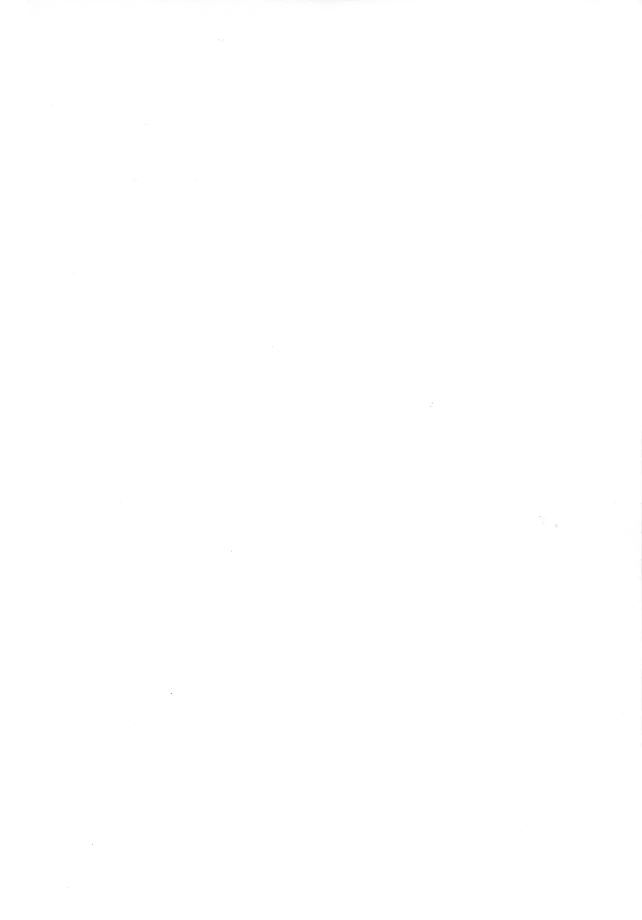 アマンダママンとオフパコ三昧! - page4