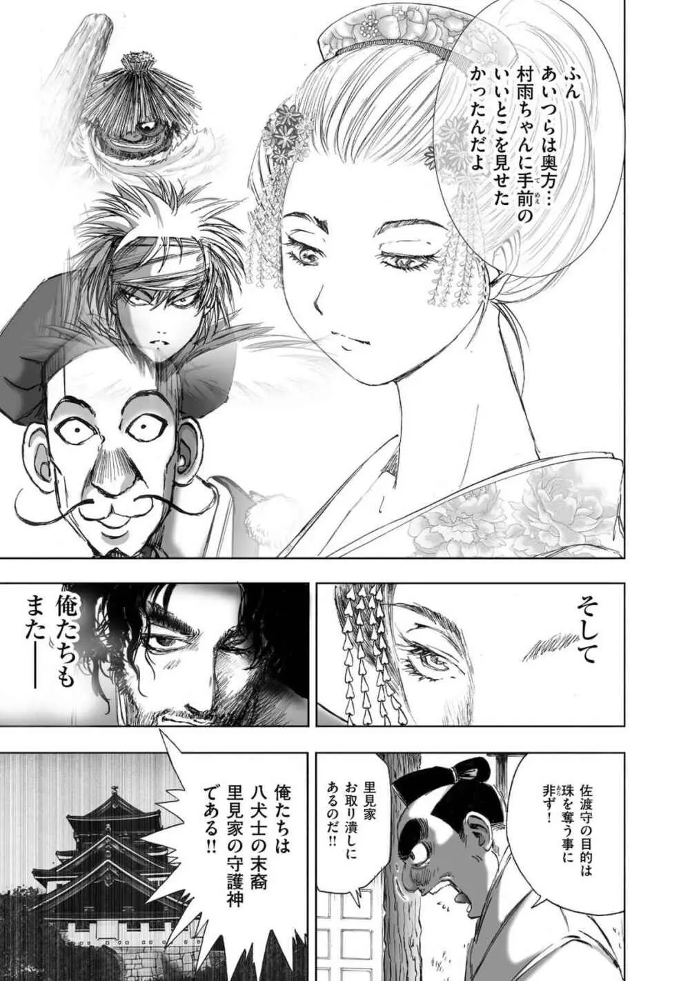 エイトドッグス～忍法八犬伝～ - page255