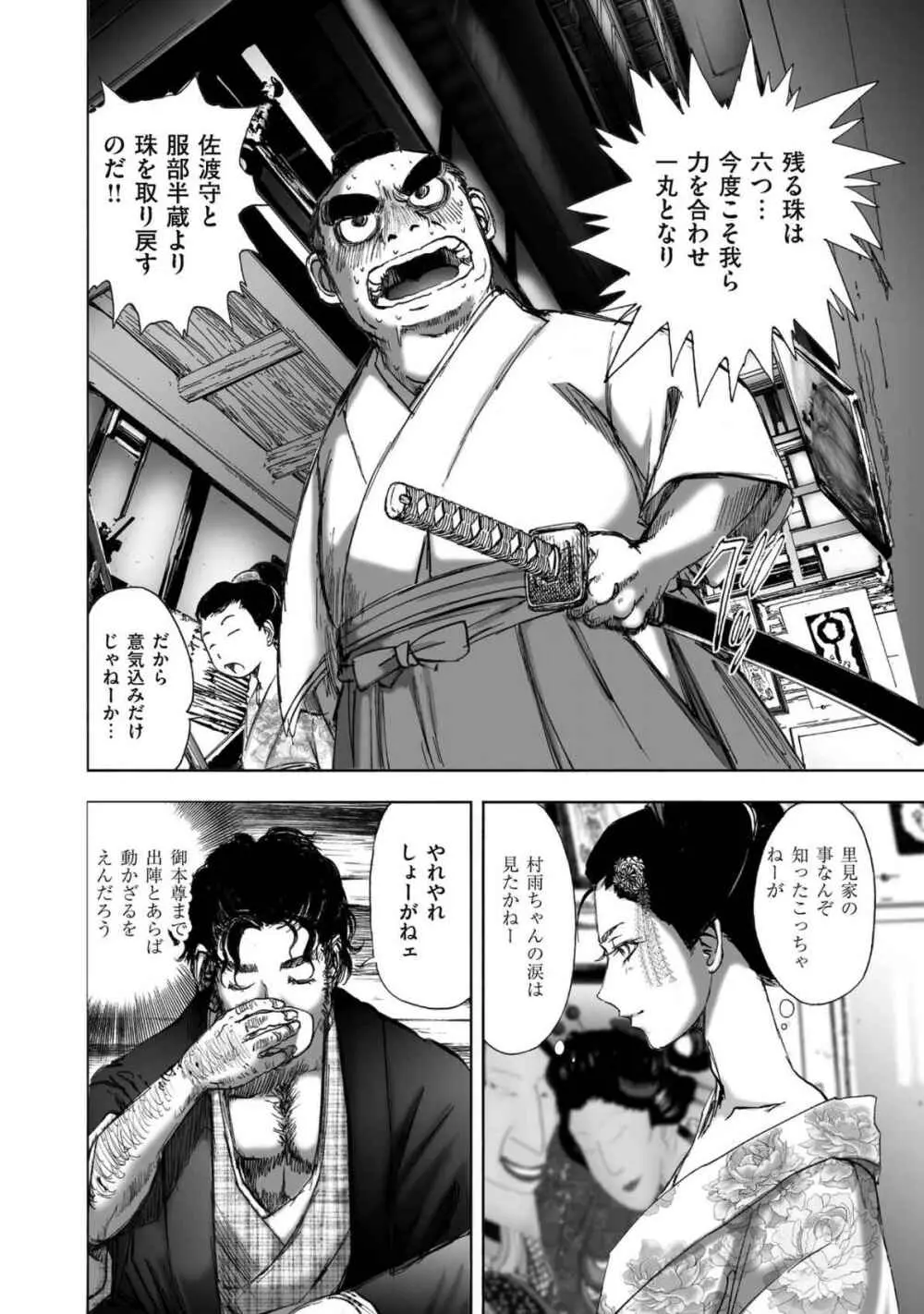 エイトドッグス～忍法八犬伝～ - page256