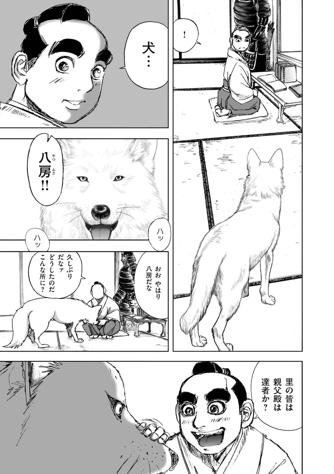 エイトドッグス～忍法八犬伝～ - page55