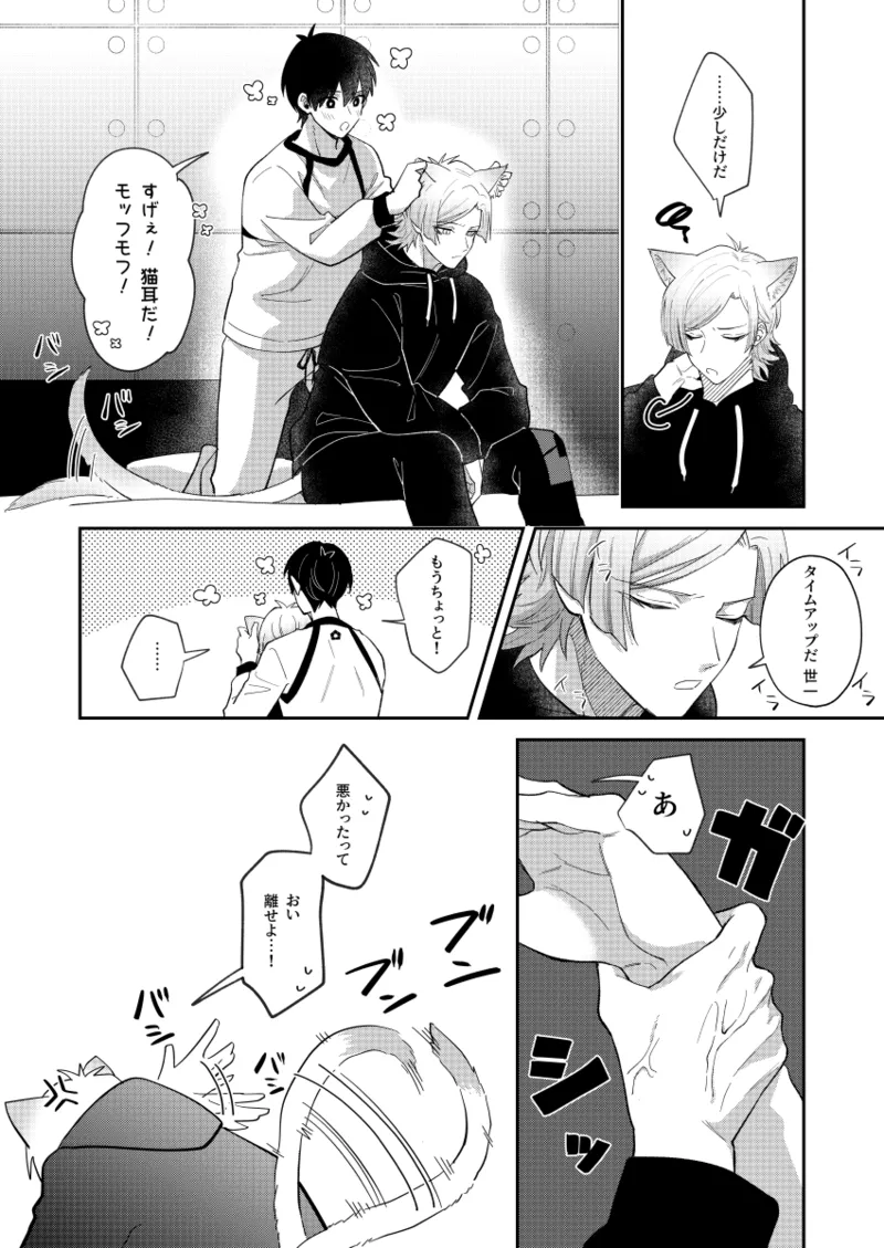 猫もけだものなので - page12