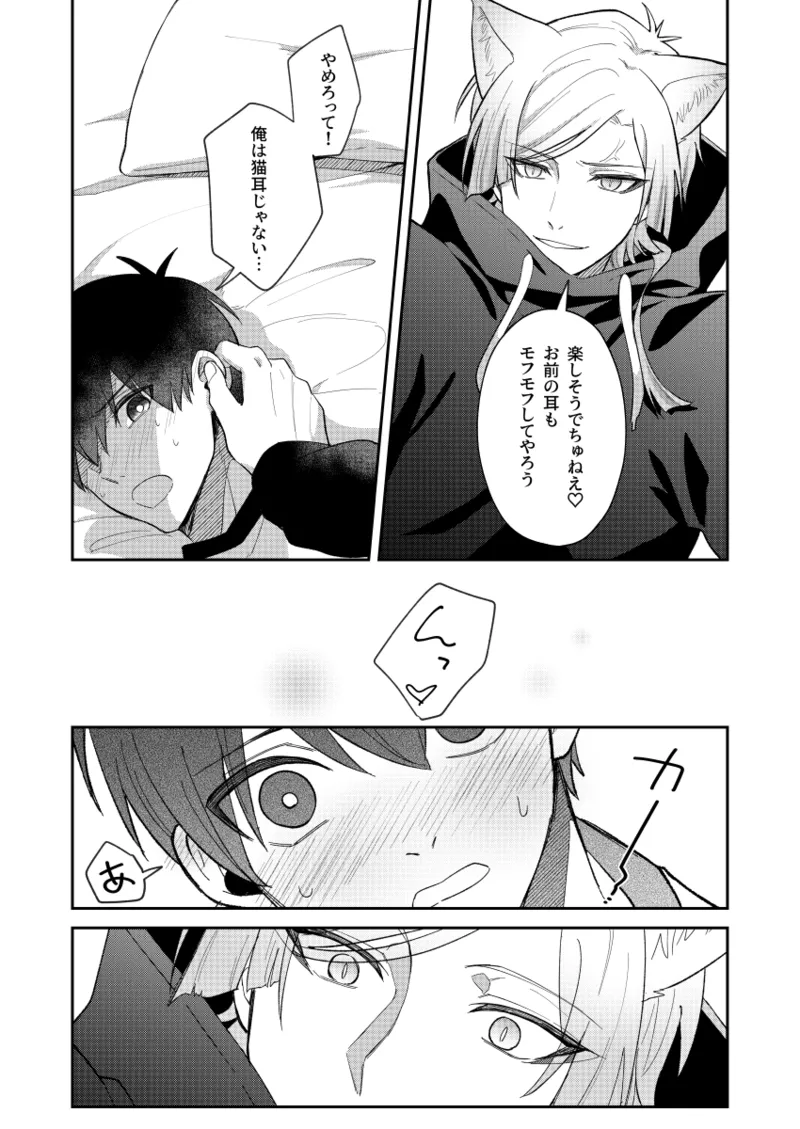 猫もけだものなので - page13