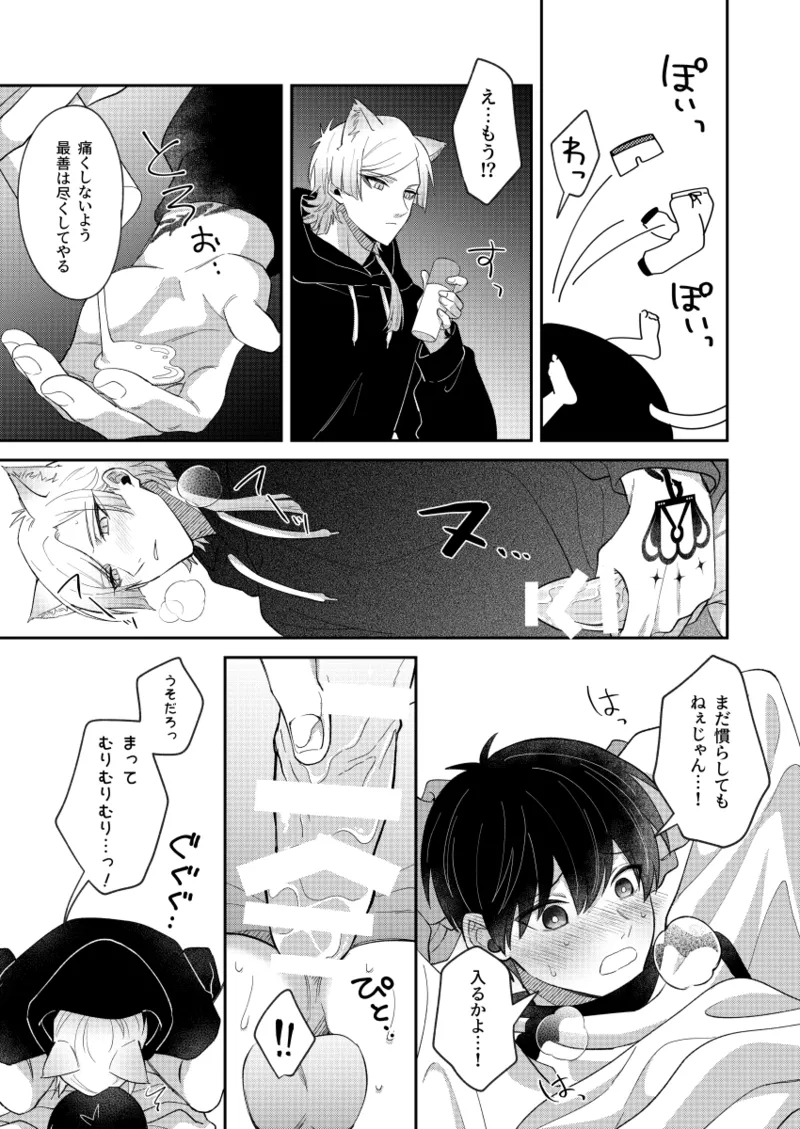 猫もけだものなので - page19