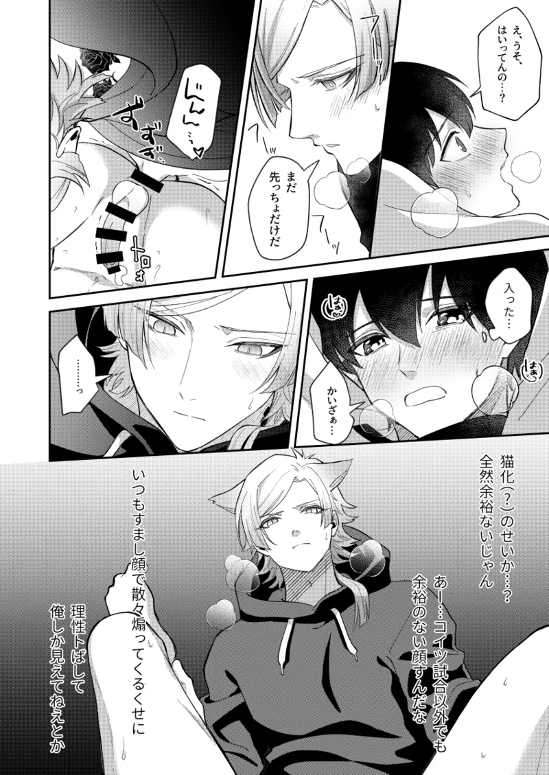 猫もけだものなので - page20