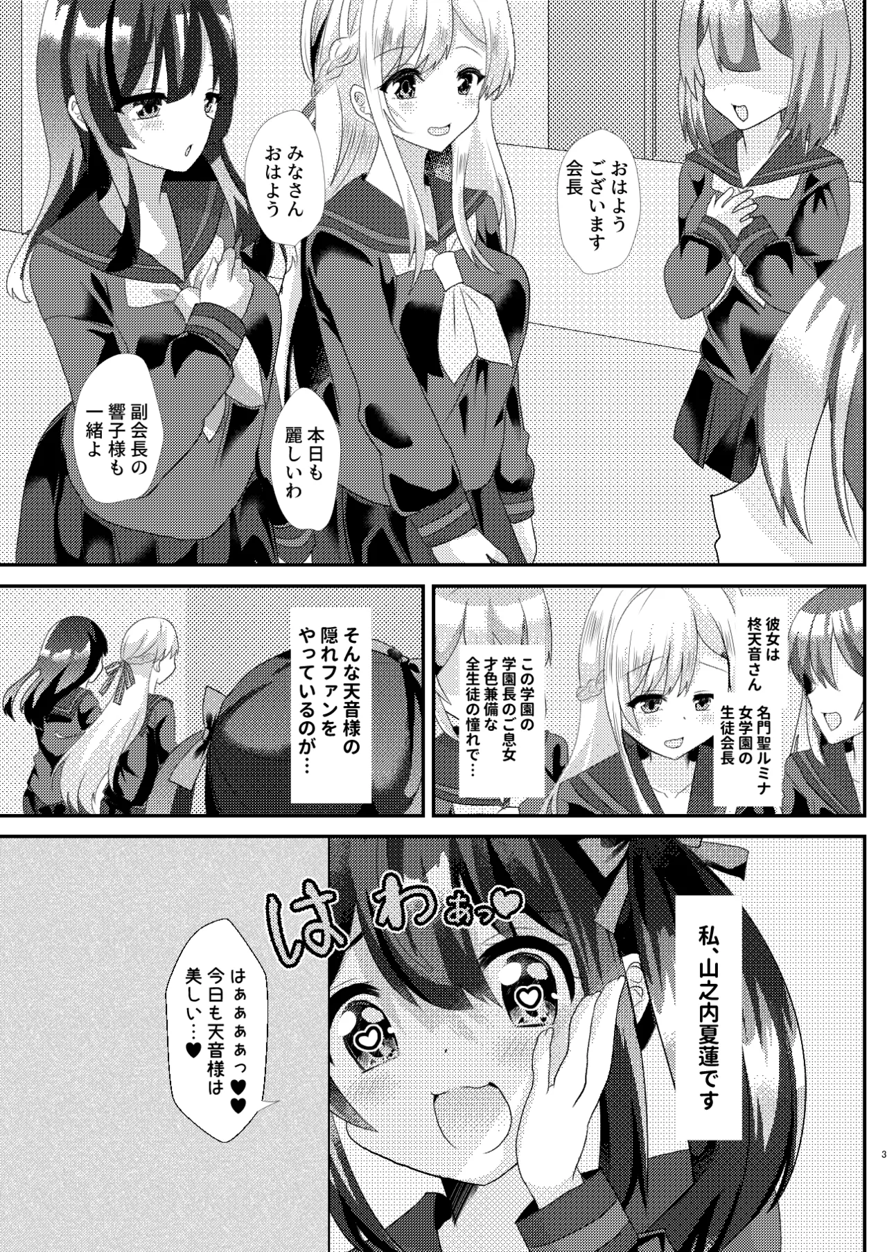 とある女学院のヒメゴト - page3