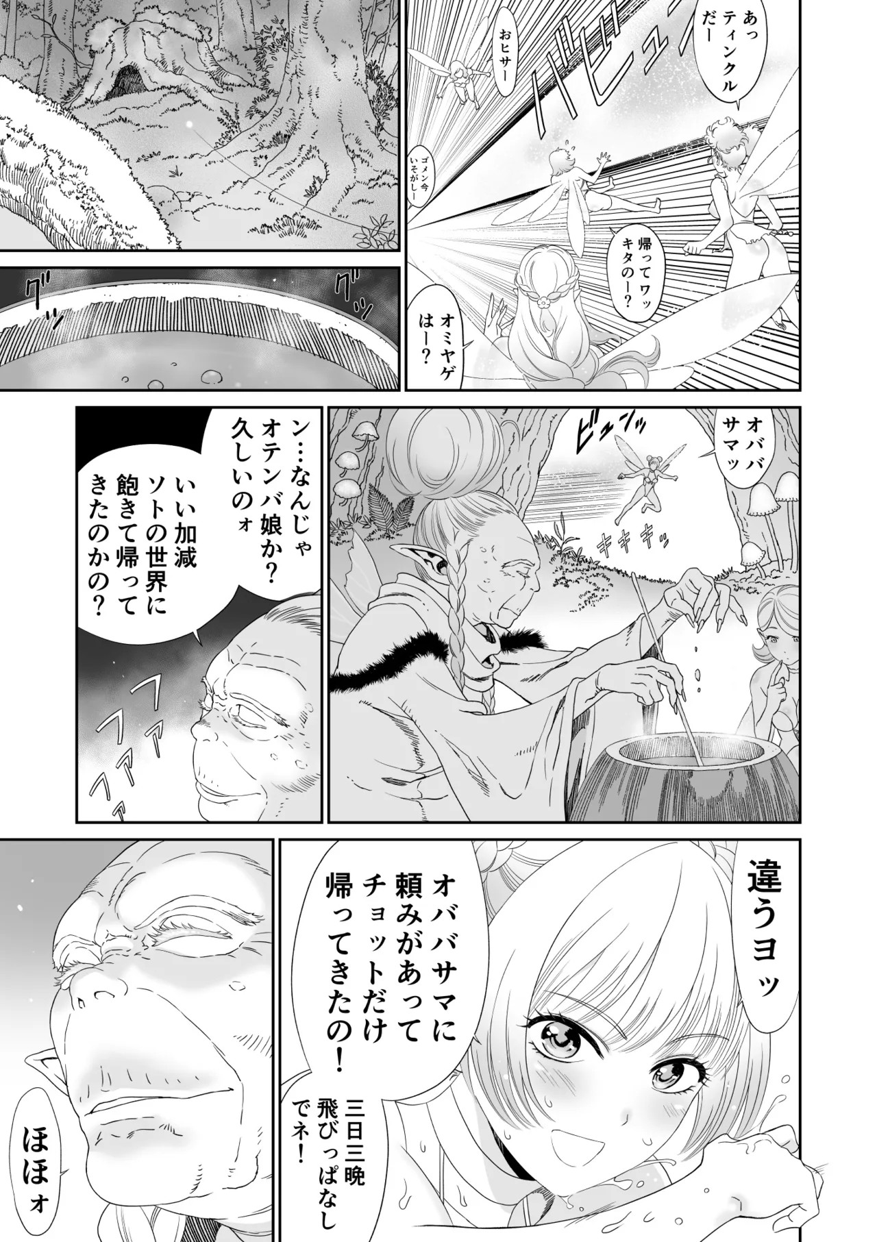妖精でも入れサセたい！ - page13