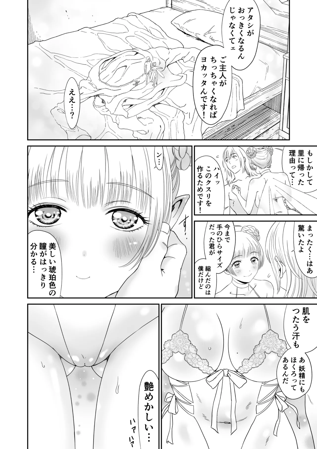 妖精でも入れサセたい！ - page18