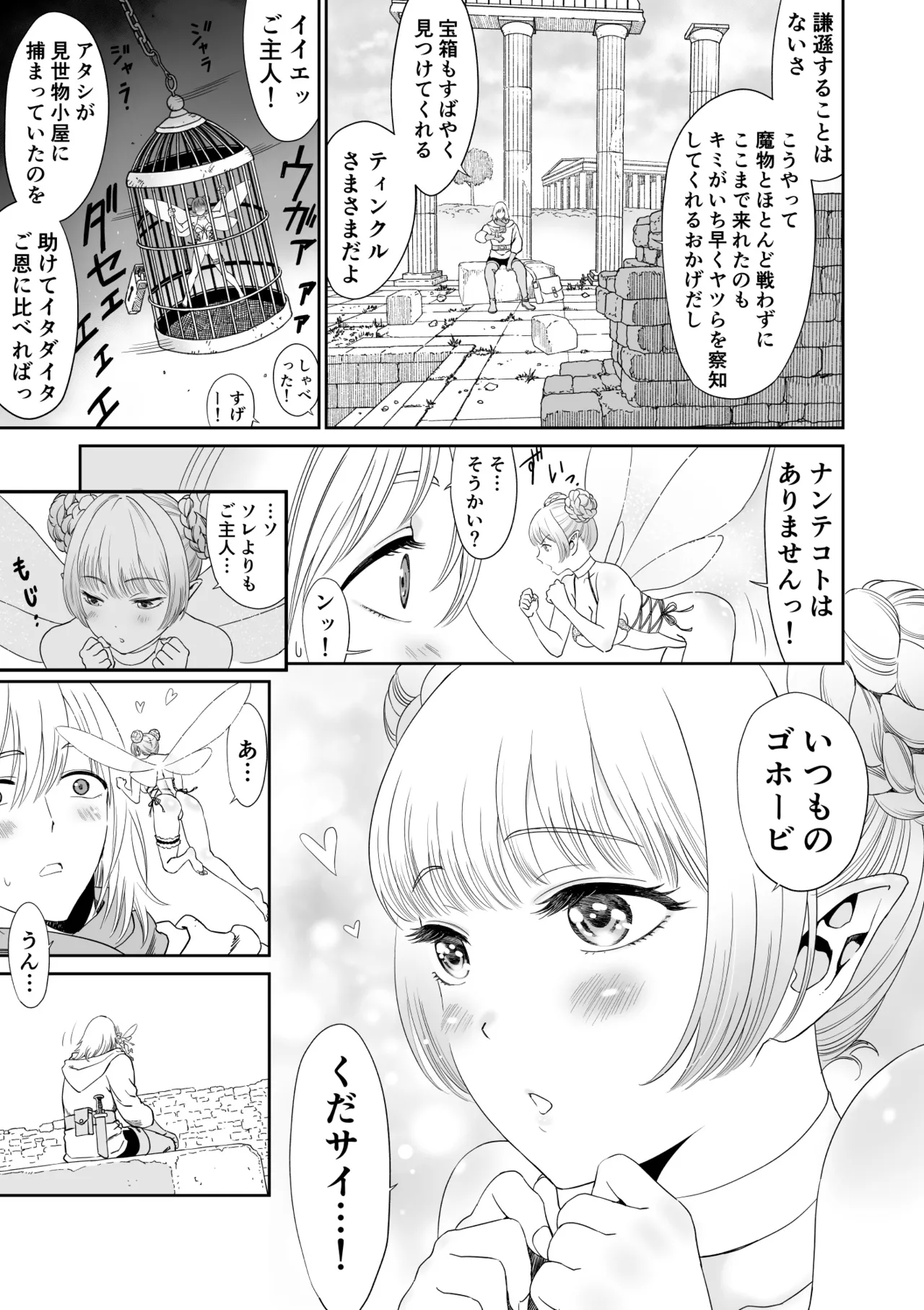妖精でも入れサセたい！ - page5