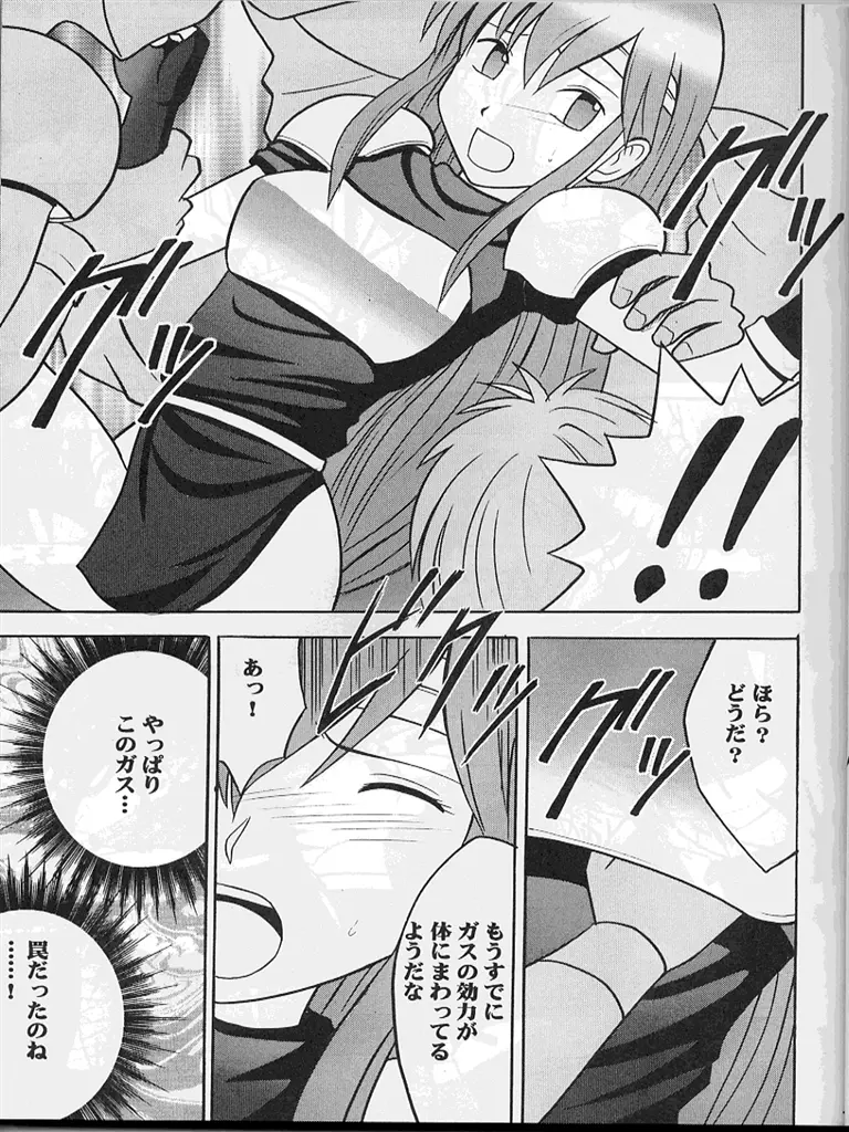 紋章のすべて - page20