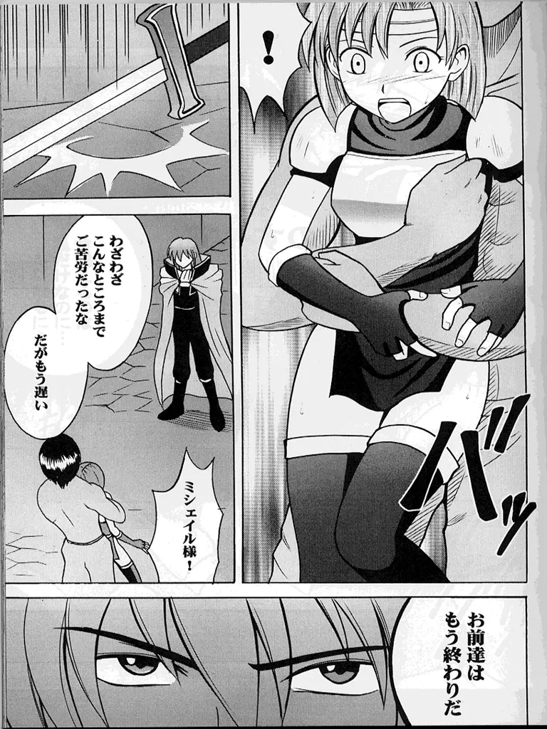 紋章のすべて - page34