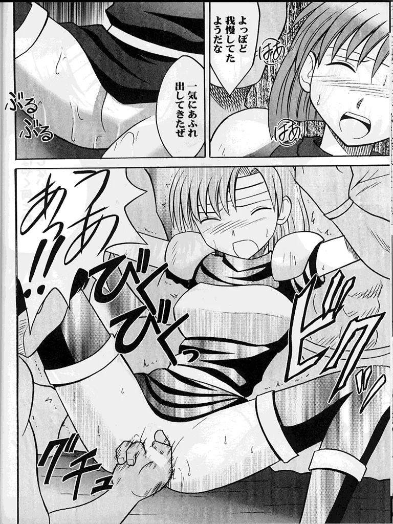 紋章のすべて - page37