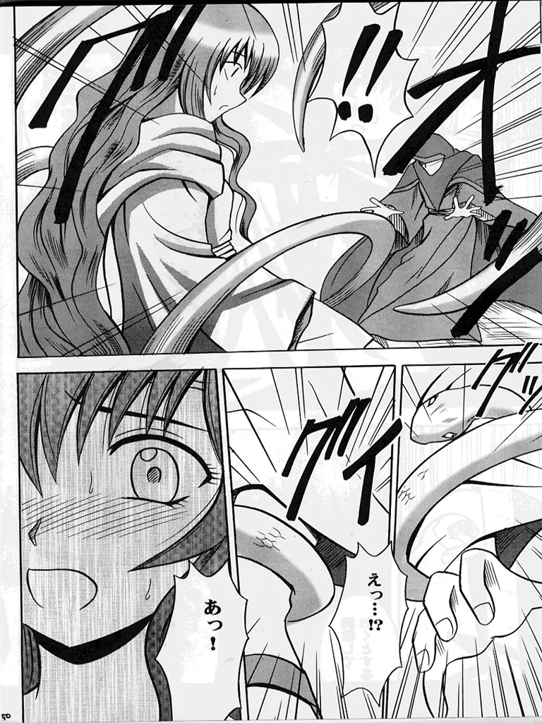 紋章のすべて - page49