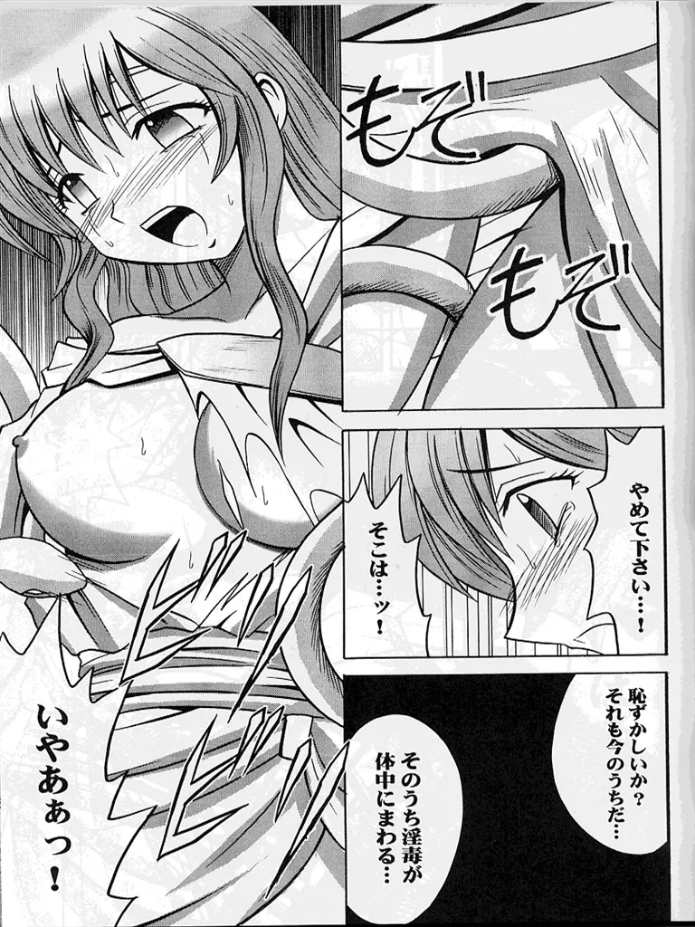 紋章のすべて - page52