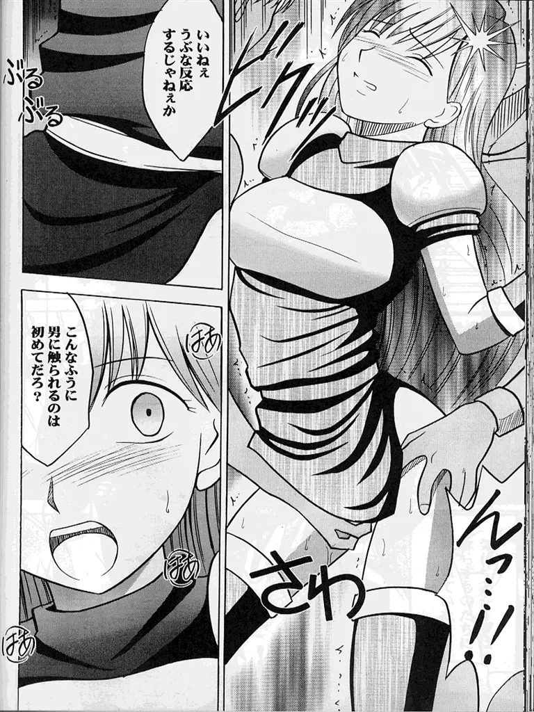 紋章のすべて - page79